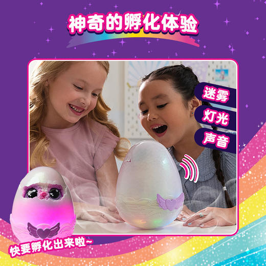 斯平马斯特Spin Master  哈驰魔法蛋-诞生系列神秘版 商品图5