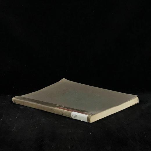 中世纪与文艺复兴时期手稿图集 50幅插图 平装大16开 商品图1