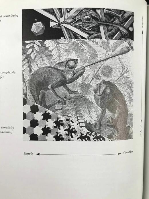 从盖亚到自私基因：生命科学文选 数十幅插图 精装16开 商品图10