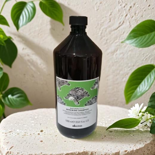 大卫尼斯自然焕活洗发水 1000ml/瓶 商品图0