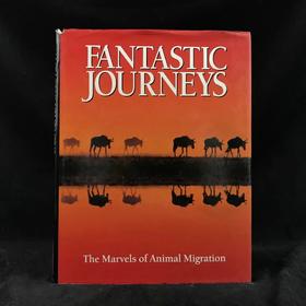 奇妙之旅：动物迁徙的奇迹 300幅彩色插图 精装大16开