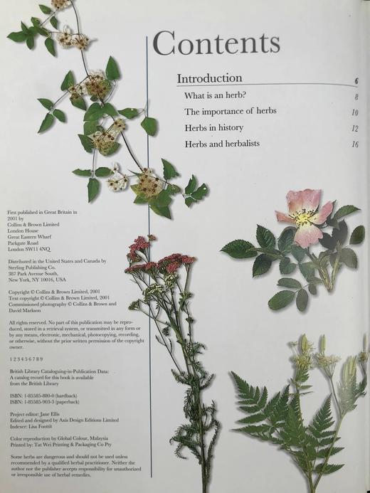 终极草药书 数百幅彩色插图 精装大16开 商品图4