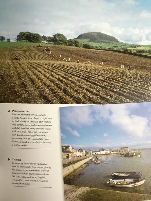 爱尔兰百科全书 数百幅插图 精装16开 商品图14