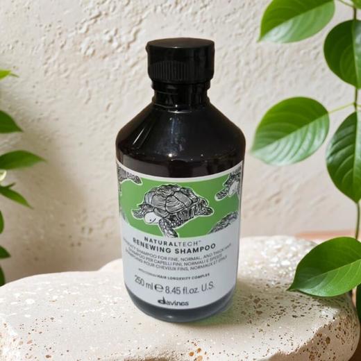 大卫尼斯自然焕活洗发水 250ml/瓶 商品图0