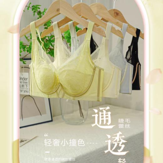 鸣瑶琴瑟 文胸 红酒杯软钢圈内衣聚拢上托不空杯大胸显小薄而不漏透气文胸 商品图2