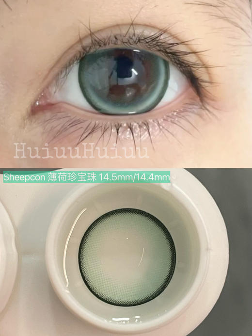 【店主实拍】Sheepcon-珍宝珠系列-14.5mm【年抛 0-1000度 含有525/575】 商品图10