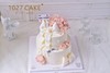 1027CAKE | 双层 鲜花蛋糕  翻糖蝴蝶结 商品缩略图3