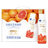 T纯甄轻酪乳原味风味酸奶PET瓶230g×10瓶（升级版） 商品缩略图0