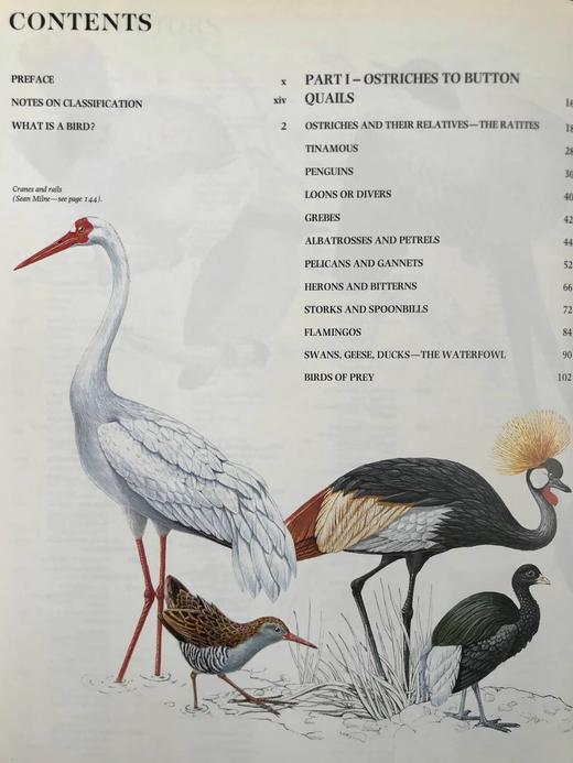 鸟类百科全书 700幅彩色插图 精装16开 商品图5