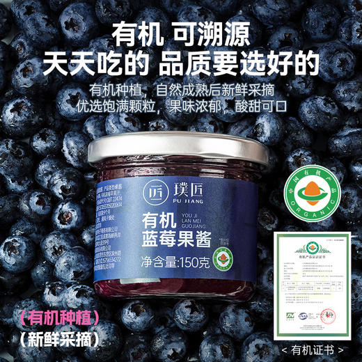 璞匠有机蓝莓果酱官方旗舰店烘焙蓝莓酱家用早餐面包吐司涂抹酱 商品图1