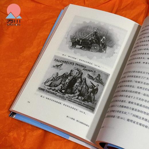 野人与野兽：现代动物园的诞生 商品图4