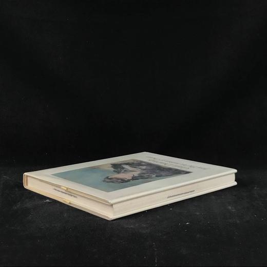 芝加哥艺术学院伟大画作图集 109幅插图（105幅彩色） 精装大16开 商品图2