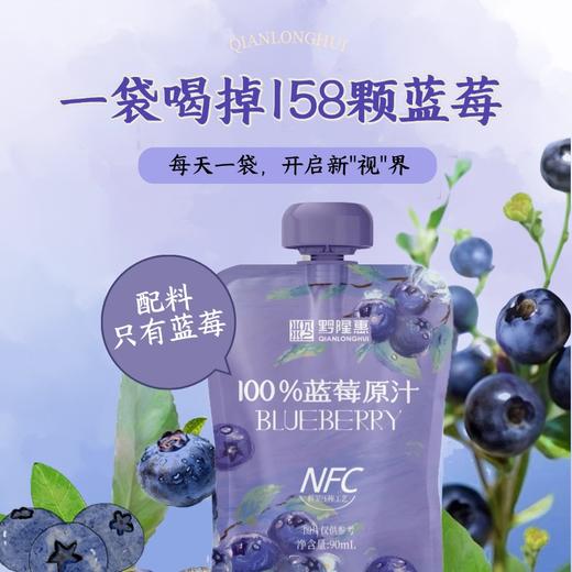 黔隆惠NFC蓝莓原汁 商品图0