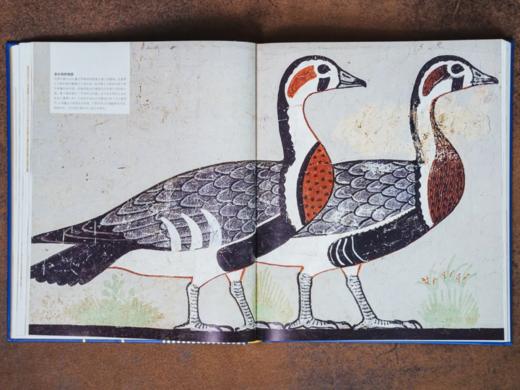 《DK伟大的世界文明：古埃及》 一部举世瞩目的震撼视觉史，全方位了解古埃及文明的宝典， 商品图6