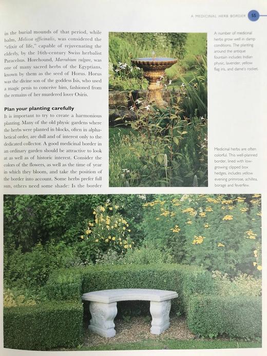 终极草药书 数百幅彩色插图 精装大16开 商品图7