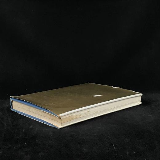 拜占庭艺术 44幅彩色196幅黑白插图 精装大16开 商品图2