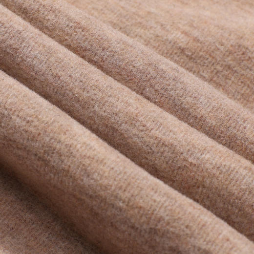 都市丽人打底裤舒暖多层裤保暖裤彩绒中厚九分裤一条LLT4C5 商品图7