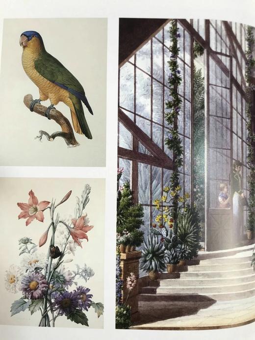 约瑟芬皇后传 80幅插图（20幅彩色） 精装16开 商品图8