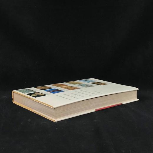 翁万戈《中国艺术史》 约300幅插图 精装大16开 商品图2