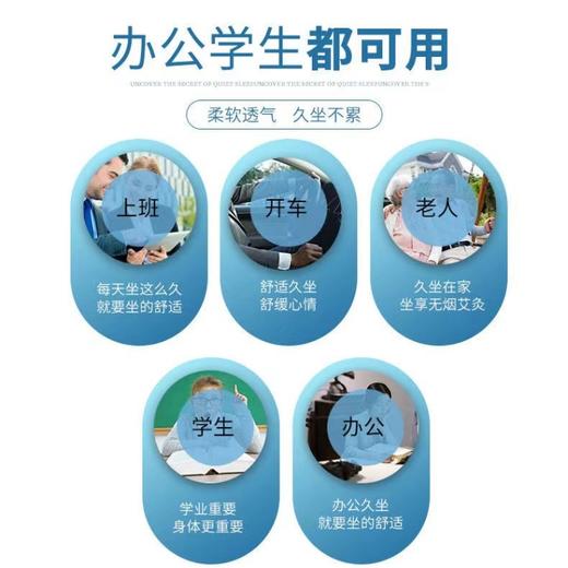 【预售】CY帝宗艾草加热坐垫 商品图2