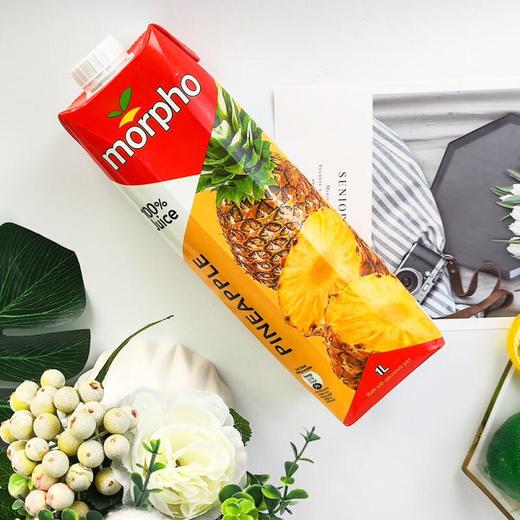梦诺菠萝汁1L/瓶 商品图3