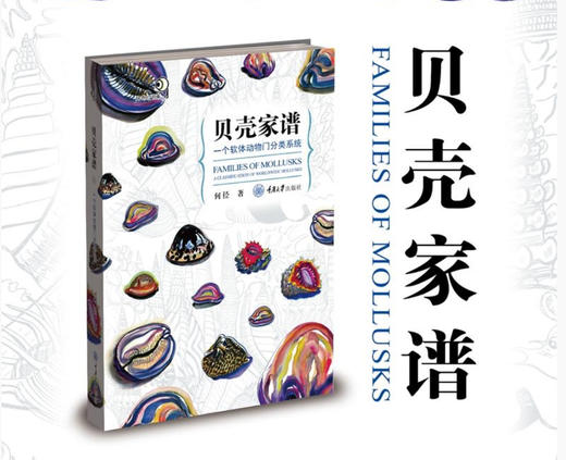 何径《贝壳家谱：一个软体动物门分类系统》 商品图0