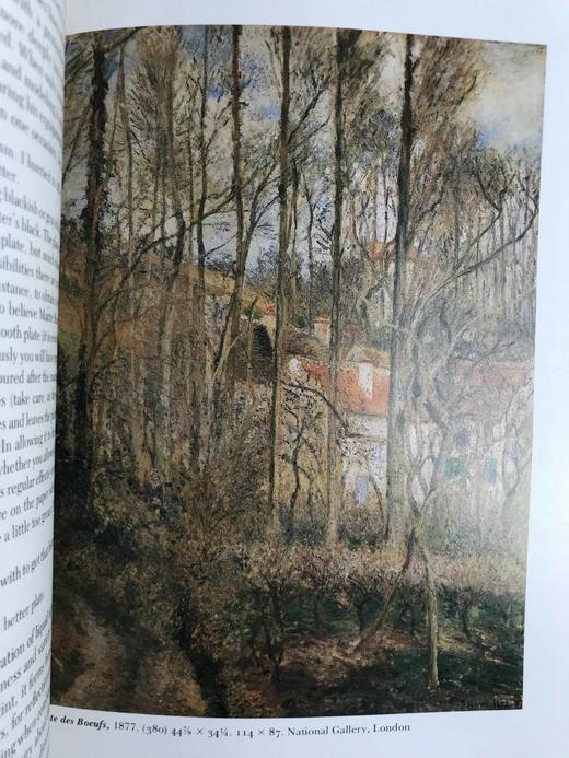 毕沙罗生平与作品集 210幅插图（21幅彩色） 精装16开 商品图9