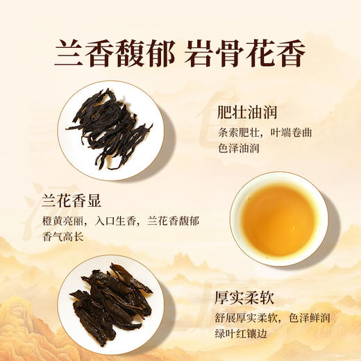 元正 茶票大红袍 茶叶特级武夷岩茶罐装50g/150g/300g 商品图4