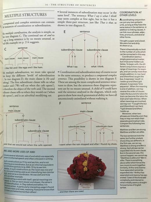 剑桥英语百科全书 数百幅插图 精装16开 商品图7
