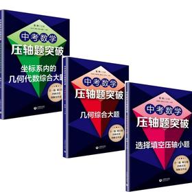 中考数学压轴题突破-几何综合大题+坐标系内的几何代数综合大题+选择填空压轴小题