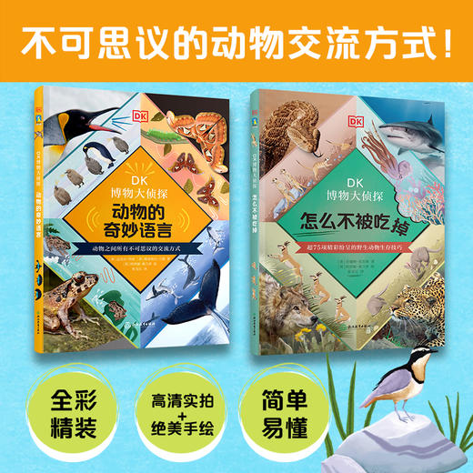 DK博物大侦探全3册 商品图3
