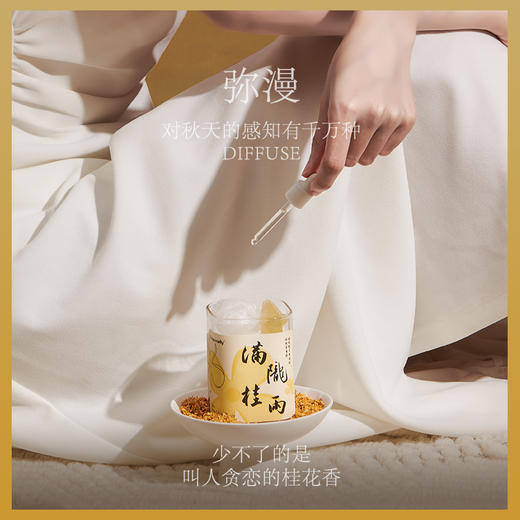 艾玛莫莉满陇桂雨礼盒 商品图4