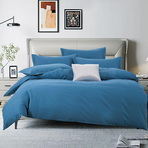 鑫缘 全棉磨毛四件套 DMJ3418 商品图3