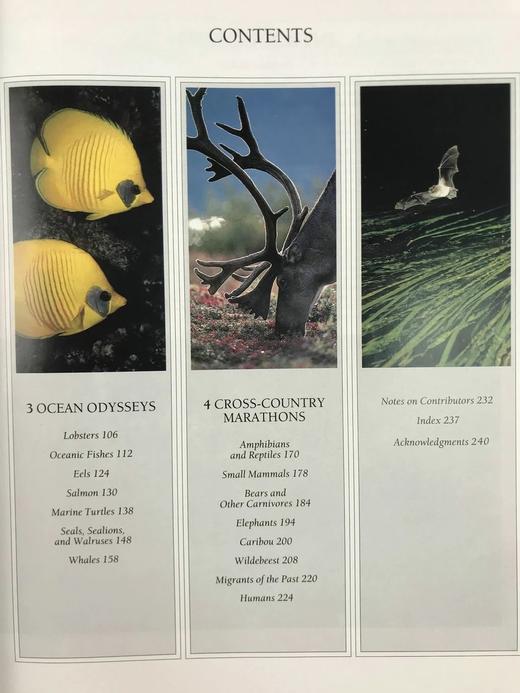 奇妙之旅：动物迁徙的奇迹 300幅彩色插图 精装大16开 商品图6