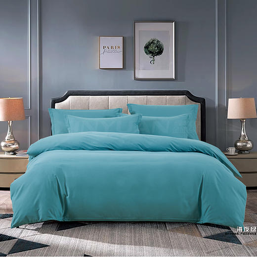 鑫缘 全棉磨毛四件套 DMJ3418 商品图1