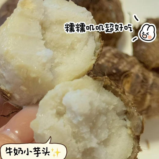 【荔浦大芋头/牛奶小芋头】养生食品多吃芋头，年年有余！口感细腻润滑，粉而不黏，糯性强，果实饱满，结实易熟 商品图6