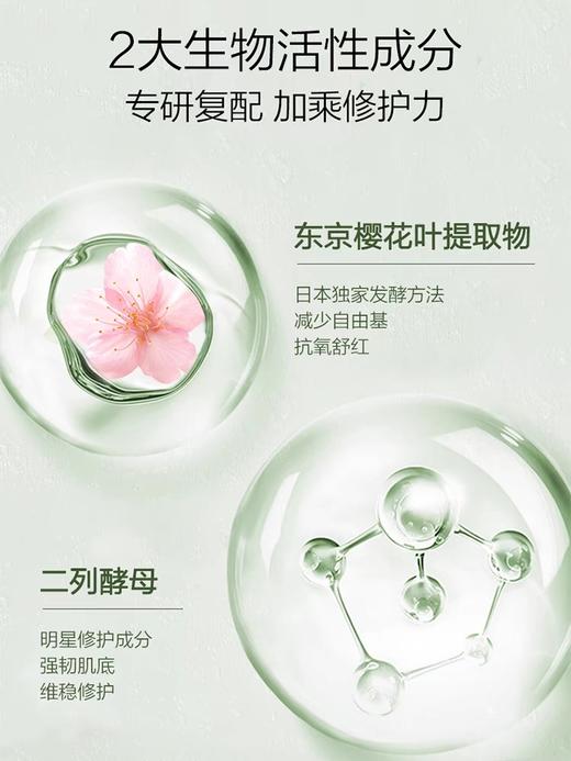 【任选2件7.5折】积雪草精华乳 舒缓修护敏感肌 补水保湿 强韧屏障 男士女士学生可用 商品图2