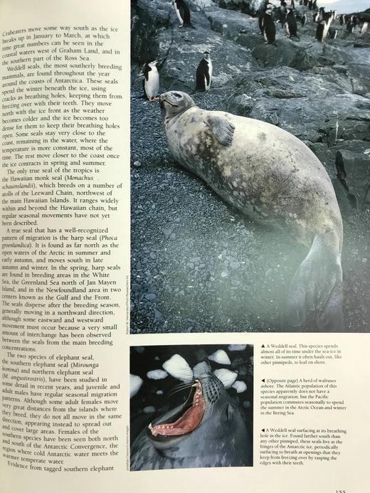 奇妙之旅：动物迁徙的奇迹 300幅彩色插图 精装大16开 商品图9