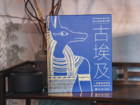 《DK伟大的世界文明：古埃及》 一部举世瞩目的震撼视觉史，全方位了解古埃及文明的宝典，