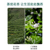 东裕茗茶茉莉炒青66克盒装  浓醇耐泡 久泡余香 商品缩略图5