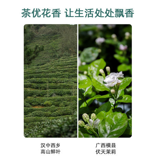 东裕茗茶茉莉炒青66克盒装  浓醇耐泡 久泡余香 商品图5