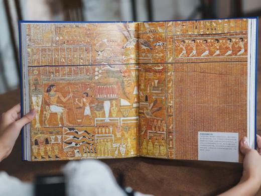 《DK伟大的世界文明：古埃及》 一部举世瞩目的震撼视觉史，全方位了解古埃及文明的宝典， 商品图8