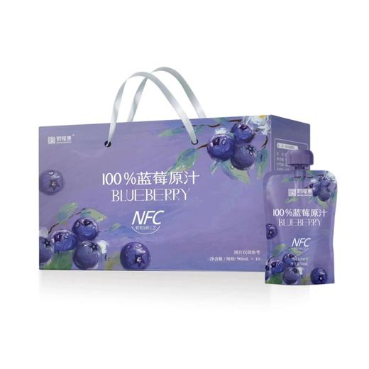 黔隆惠NFC蓝莓原汁 商品图6