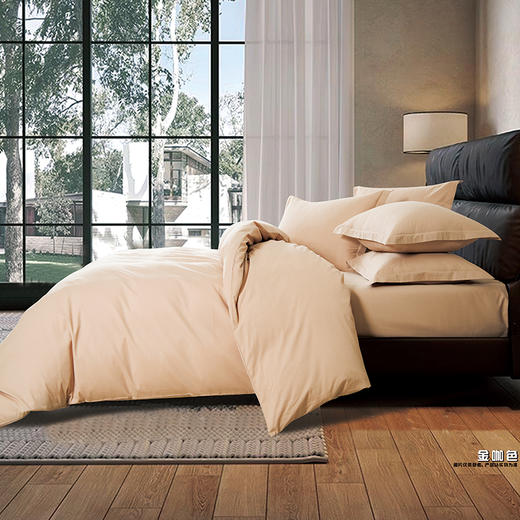 鑫缘 全棉磨毛四件套 DMJ3418 商品图2