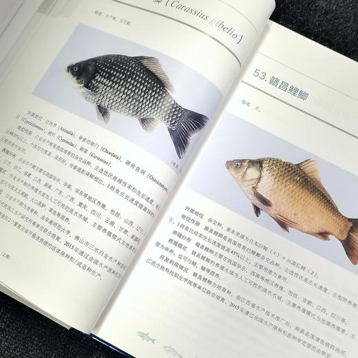 【预售中】国家水产养殖种质资源种类名录 图文版 （上下册） 商品图5