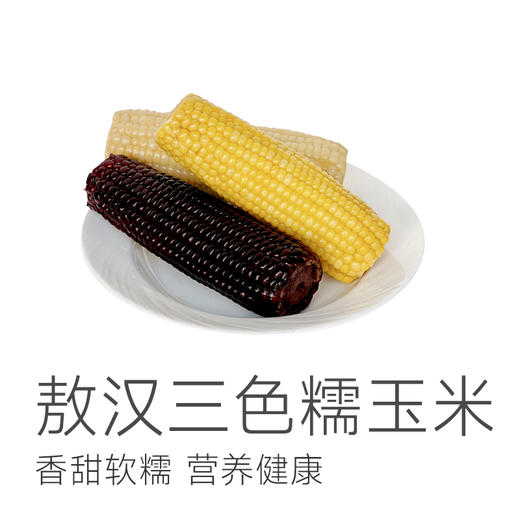 【新增敖汉水果玉米 肯德基同款】【黄糯玉米/敖汉甜糯玉米/黑糯玉米】比普通玉米更甜更香，属于糯玉米的口感，嚼起来有韧性，也不会过分夸张的粘腻，吃起来香甜软糯~ 商品图1