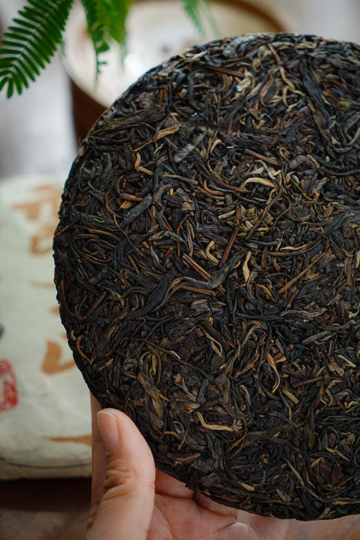 【2007弯弓】 易武弯弓森林高杆头春！挑采！绕舌柔！ 商品图4