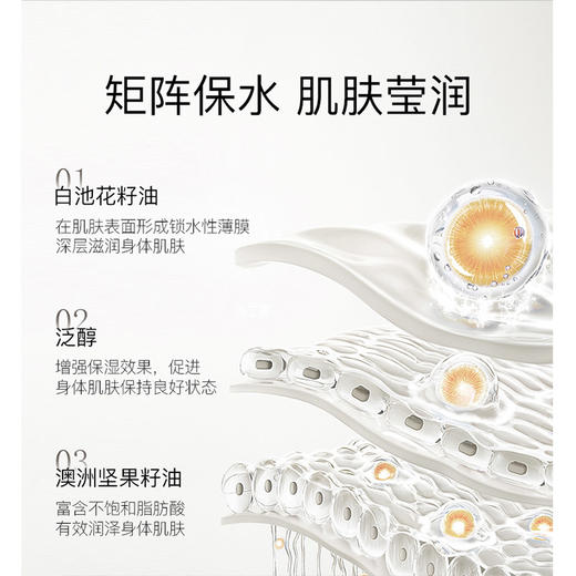 纪念日百货柳丝木平衡精华200克身体乳159514345 商品图4