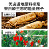 纯耕2700ml=90袋人参枸杞原浆；300ml、1.2L、1.8L、2.7L宁夏头茬枸杞、吉林长白山足龄人参，每一口都是满满鲜参枸杞风味 商品缩略图3