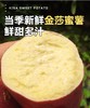 金莎蜜薯（约4.5斤）【只发广东省内，包邮】 商品缩略图1